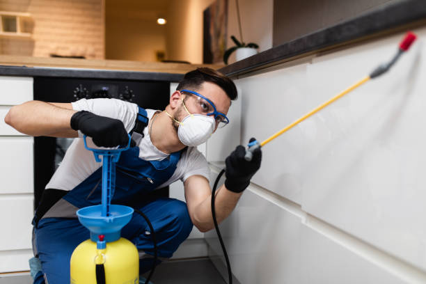 Best Affordable Pest Control Services  in Palmhurst, TX