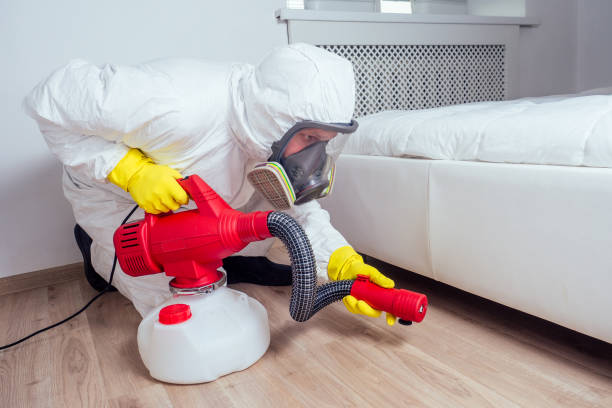 Best Pest Removal Services  in Palmhurst, TX