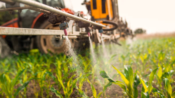 Best Mosquito Control Services  in Palmhurst, TX